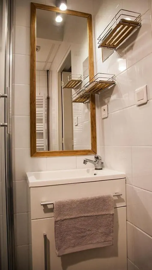 Appartement Authentic Loft With Mezzanine & Exposed Stones Heart Of Lyon 0*,