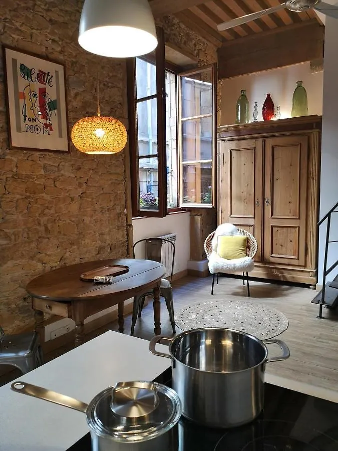 Authentic Loft With Mezzanine & Exposed Stones Heart Of Lyon Apartment 0*,