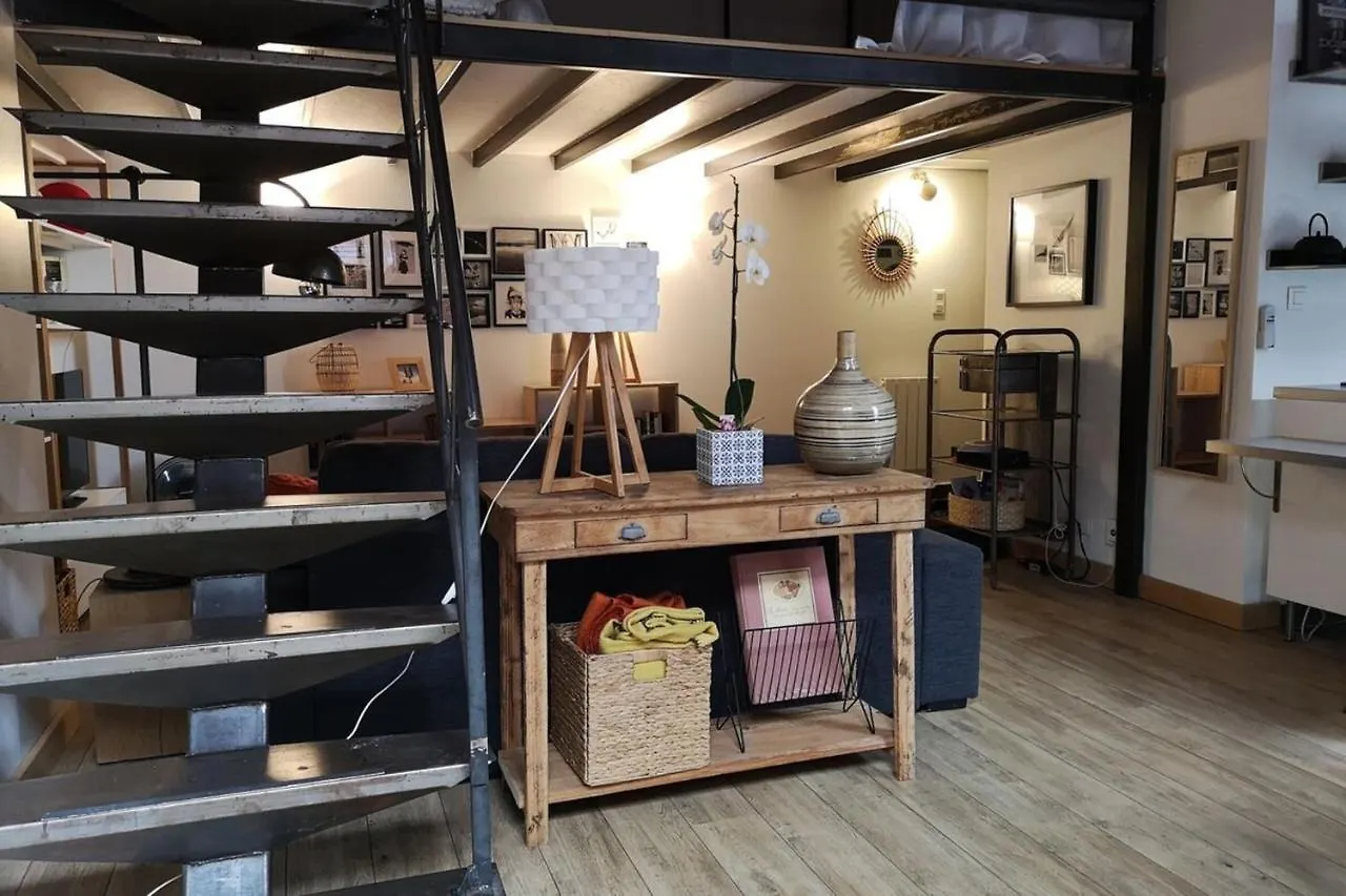 Authentic Loft With Mezzanine & Exposed Stones Heart Of Lyon Apartment