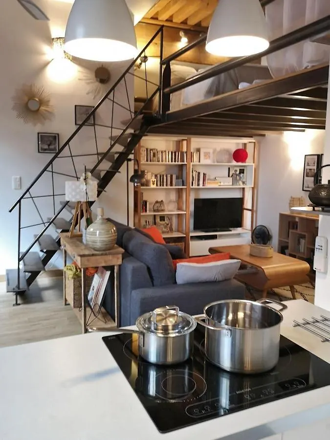 Authentic Loft With Mezzanine & Exposed Stones Heart Of Lyon Apartment