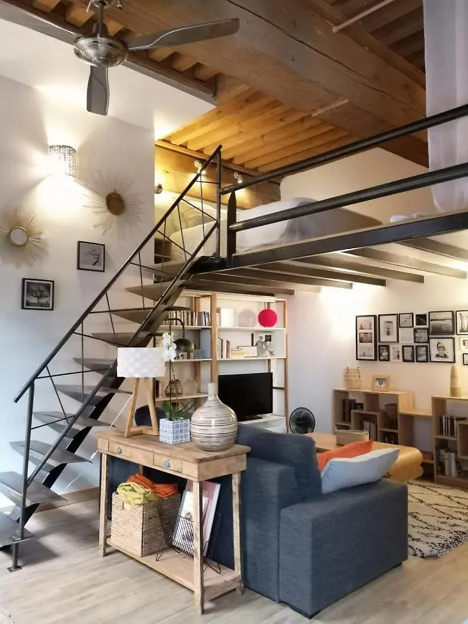 Authentic Loft With Mezzanine & Exposed Stones Heart Of Lyon Apartment